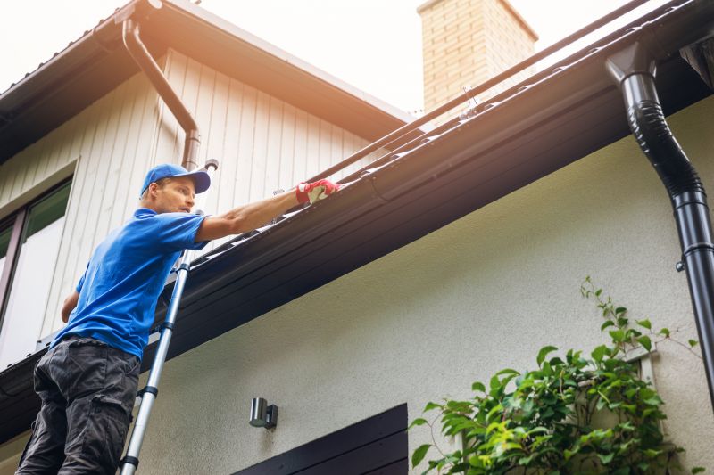 Local Gutter Service Experts